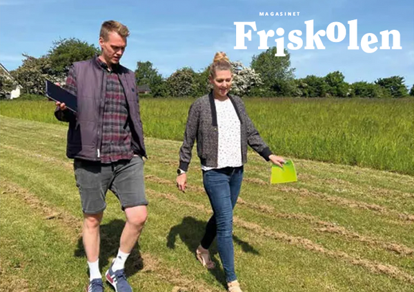 Hvordan bruger din friskole friheden?